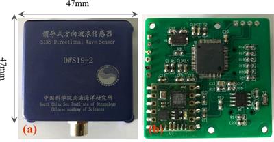 Measurement principle and technology of miniaturized strapdown inertial wave sensor